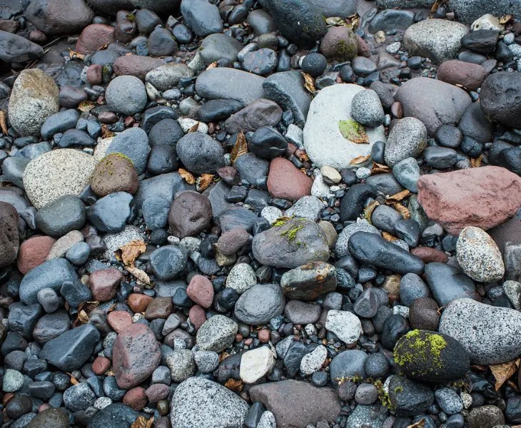 Does River Rock Absorb Water? (Detailed Analysis!)