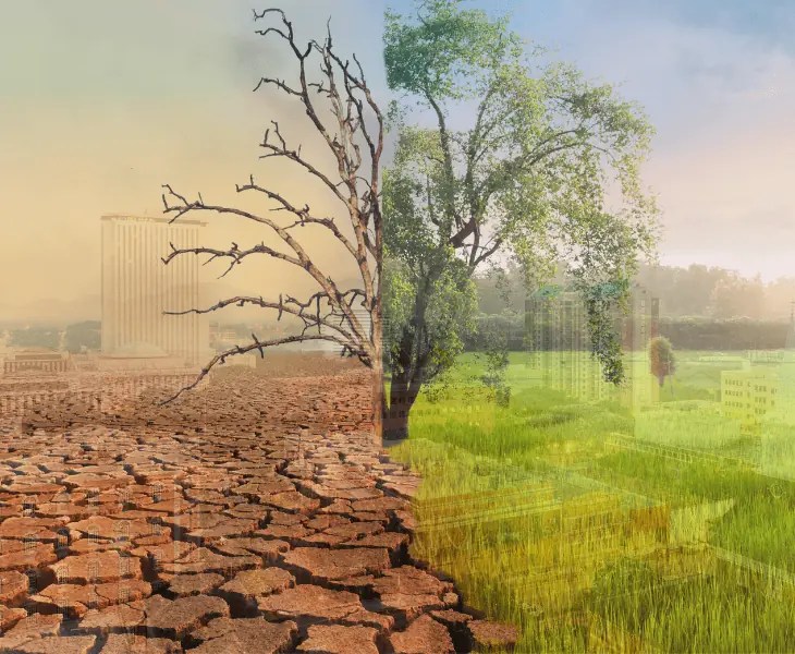 Why Is Air Quality Bad In Tallahassee? (Top Reasons!)