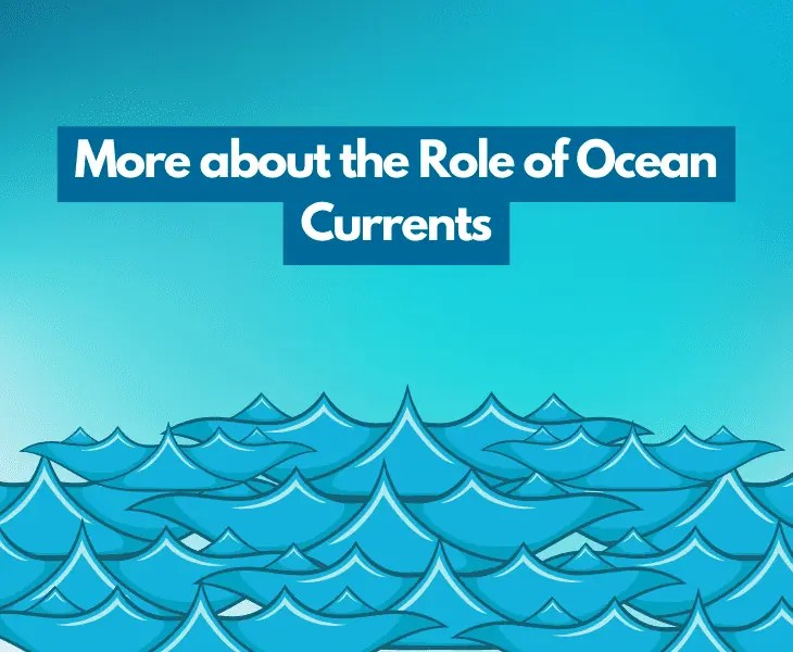 Why Does Weather Move West to East? (Science Behind!)