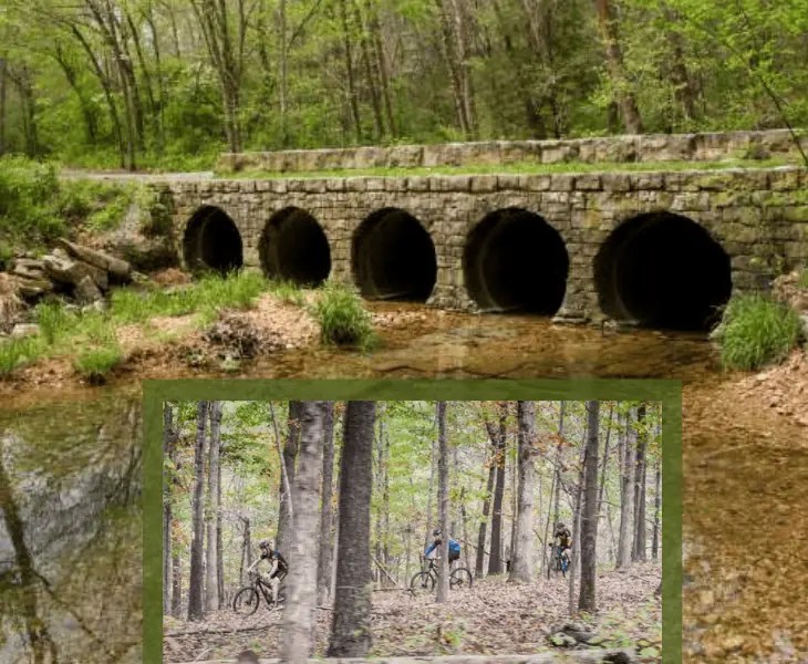 Does It Snow In Bentonville Arkansas? Latest Guide (2024)