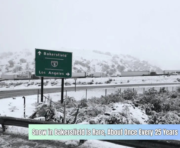 Does It Snow In Bakersfield CA? All You Need to Know (2024)