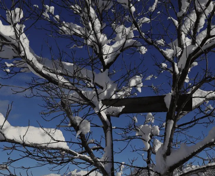 Does It Snow In The Ozarks? (Exploring the Snow Mystery!)