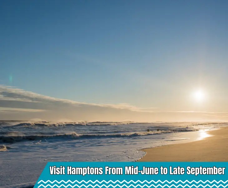 Does It Snow In The Hamptons? (Weather Mystery Unveiled)