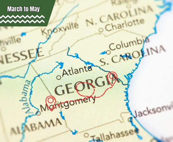 Does It Snow in Augusta (Snow Mystery Revealed)