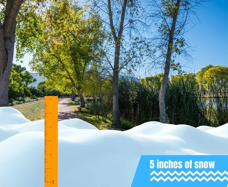 Does It Snow in Cottonwood AZ? (Lastest Snow Patterns)