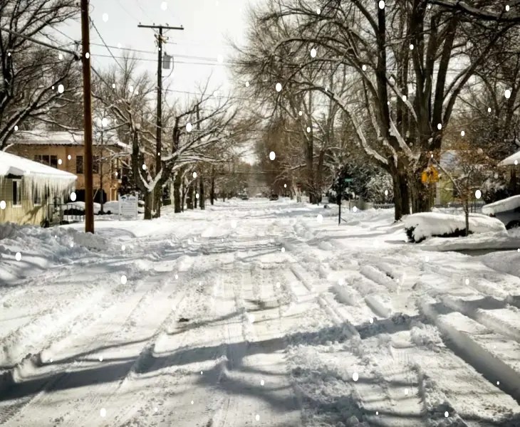 Does It Snow in Carson City Nevada? Latest Trends (2024)