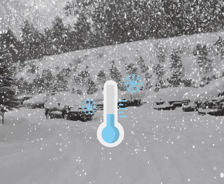 Does It Snow in Williams Arizona? (Snow Trends Decoded)