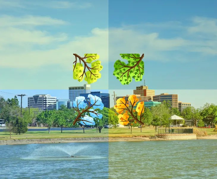 Does It Snow in Midland Texas? Latest Trends (2024)