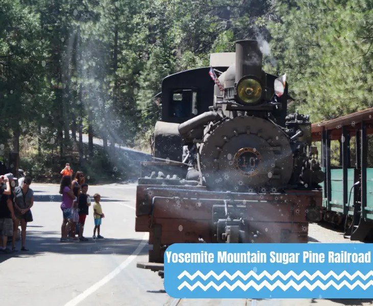 Does It Snow in Oakhurst CA? Latest Trends (2024)