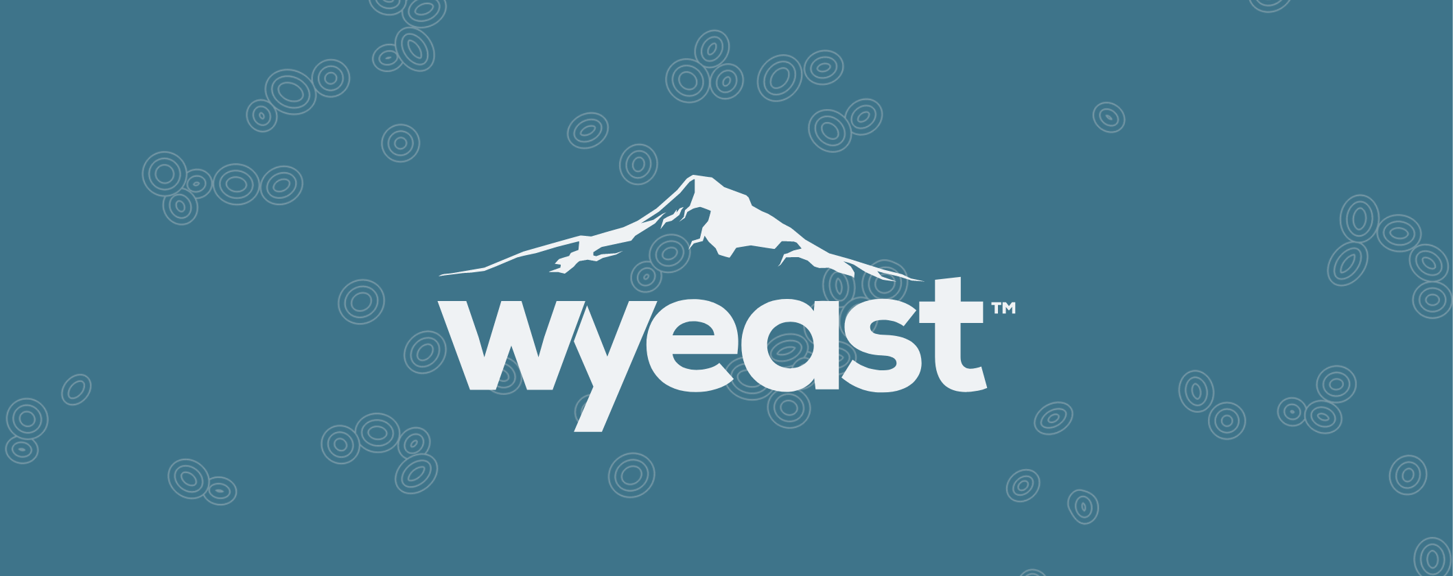 Professional Temperature Wyeast Lab