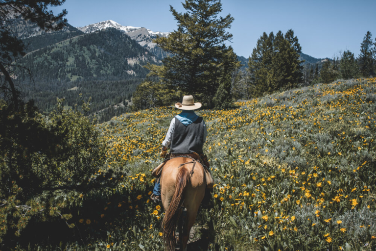 The AllInclusive Dude Ranch Experience Wyoming Dude Ranch Association