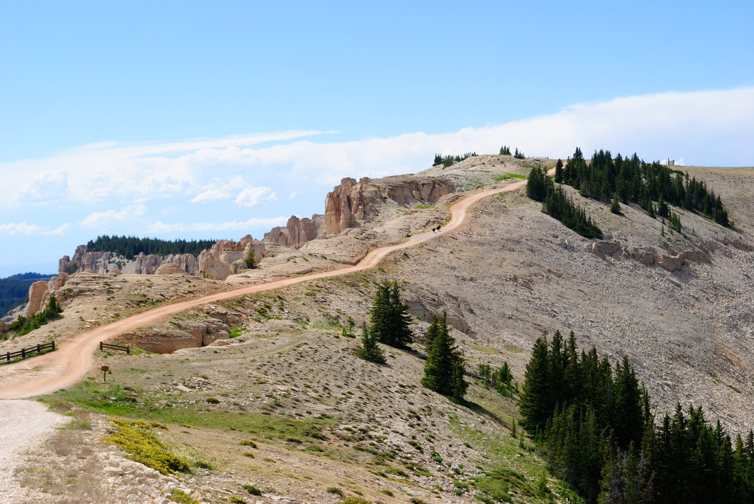 Medicine Wheel, Bighorn Mountains Wyoming Life