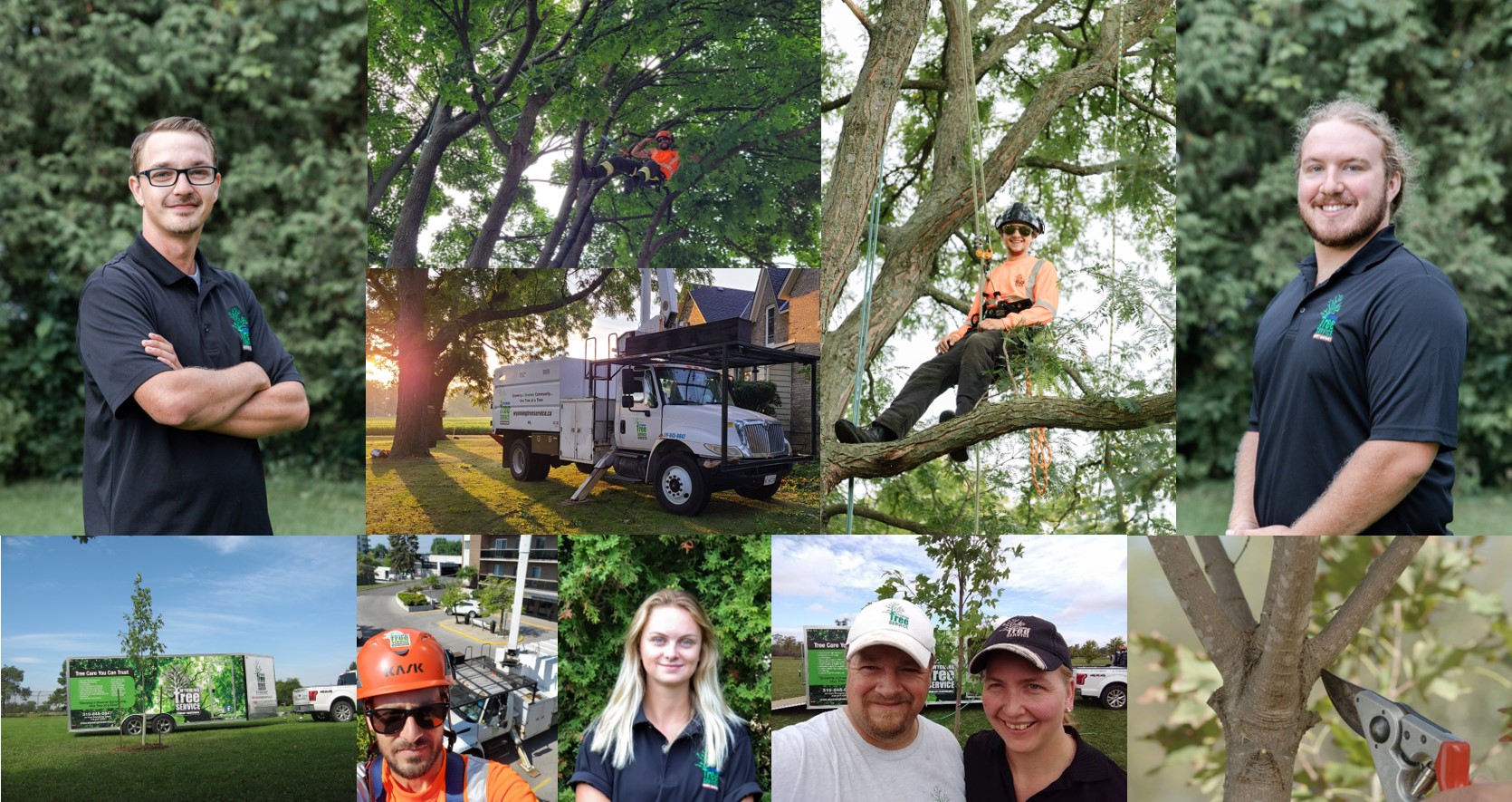 Tree Talks in the Park September 21, 2022 Wyoming Tree Service