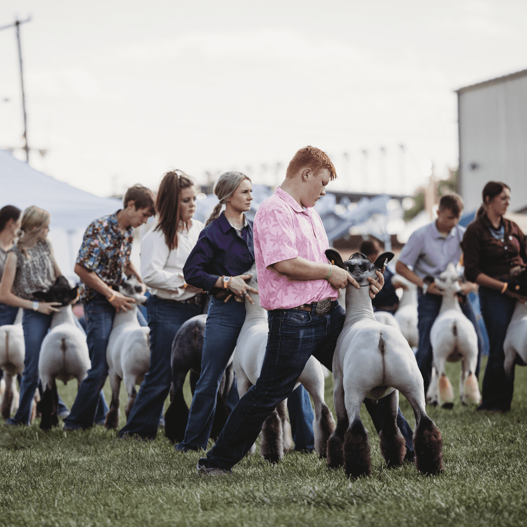 Exhibitor Newsletter June 2023 Wyoming State Fair