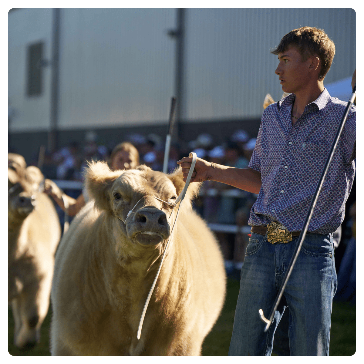 Endowment Wyoming State Fair