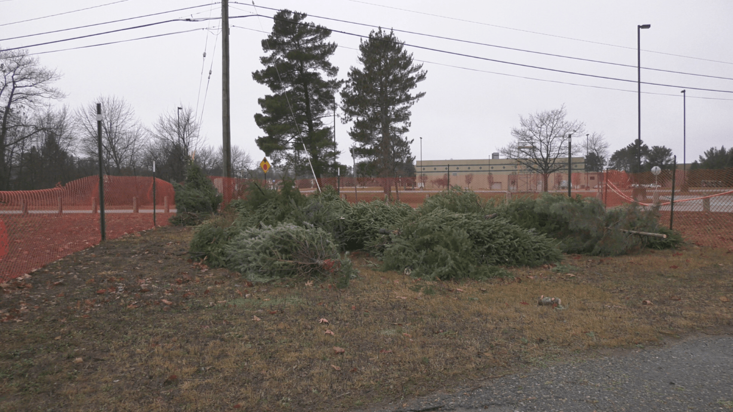 Christmas tree disposal sites open in Marquette