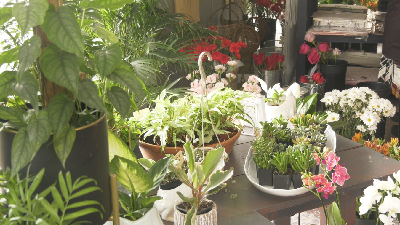 Marquette flower shop celebrates Valentine's Day from new location