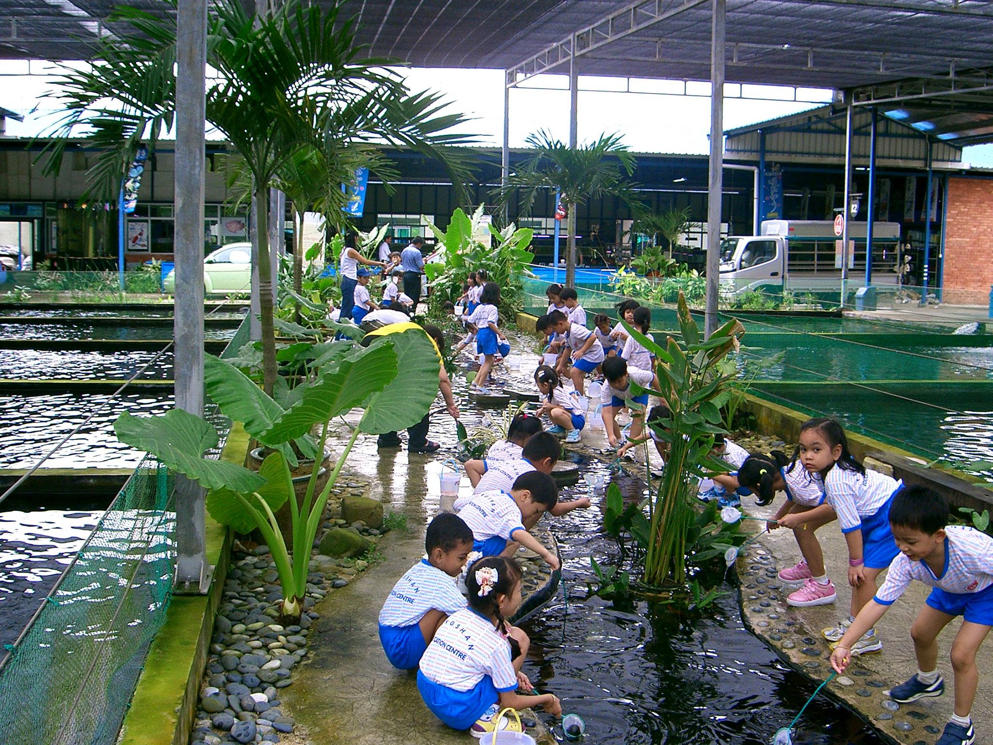 Mainland Tropical Fish Farm
