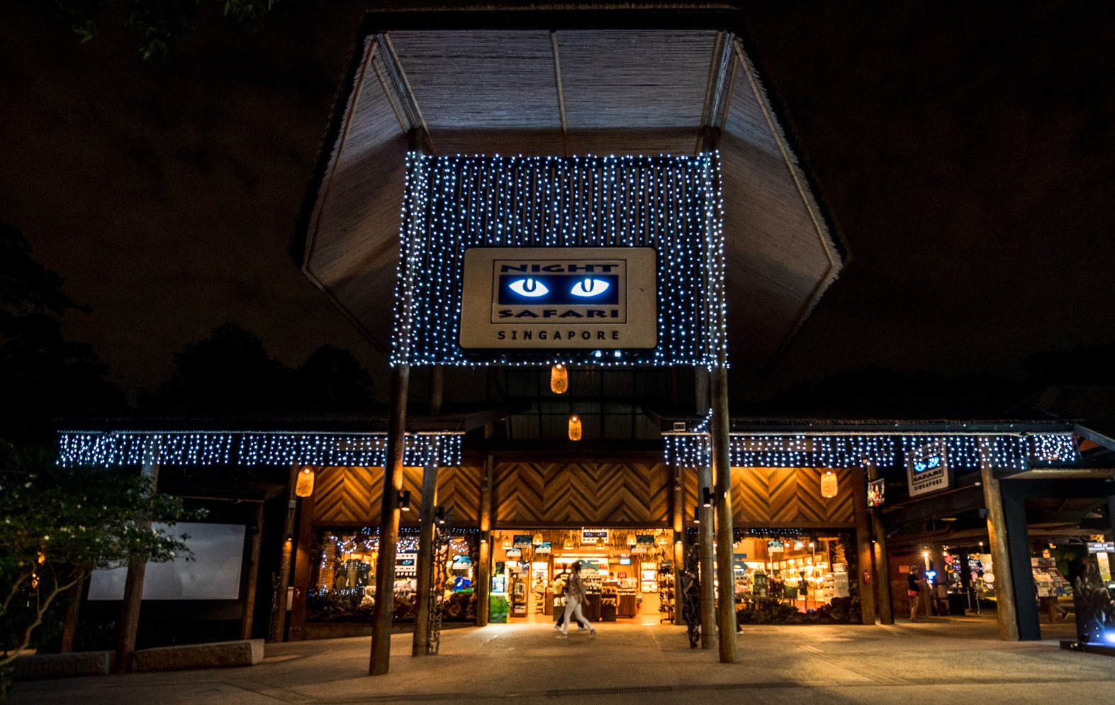 Night Safari Night Safari