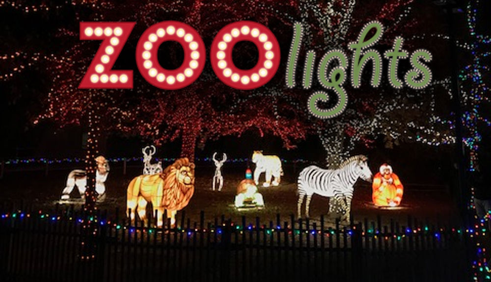 Win a Family 4 Pack to ZooLights! X96