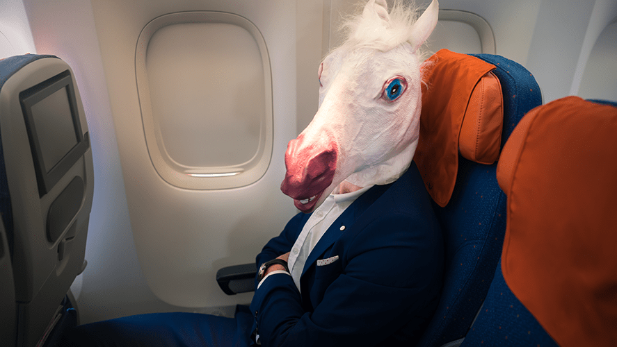 Have We Gone Too Far? Horse Seen on Plane X96