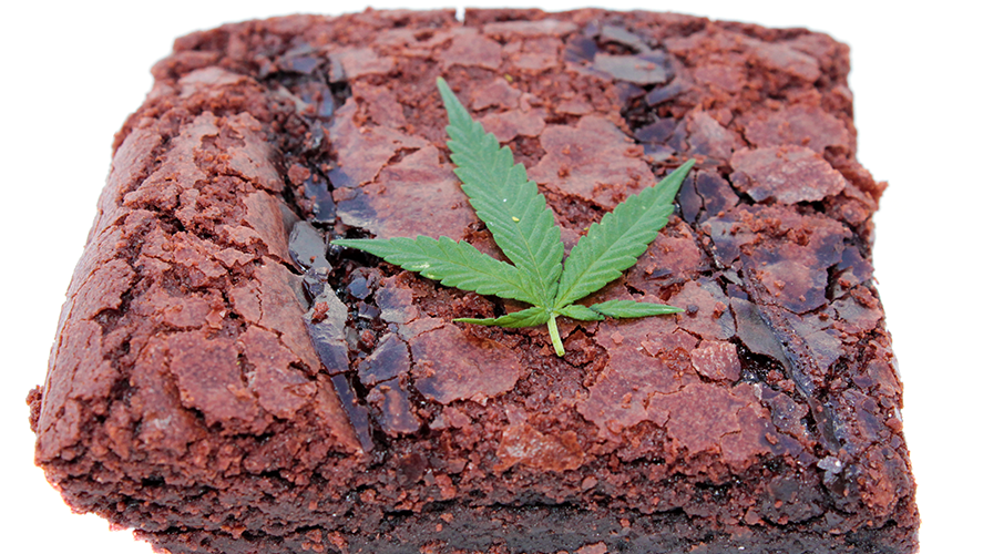 This Cannabis Brand Made an 850Pound Pot Brownieâ€”Hereâ€™s Why X96
