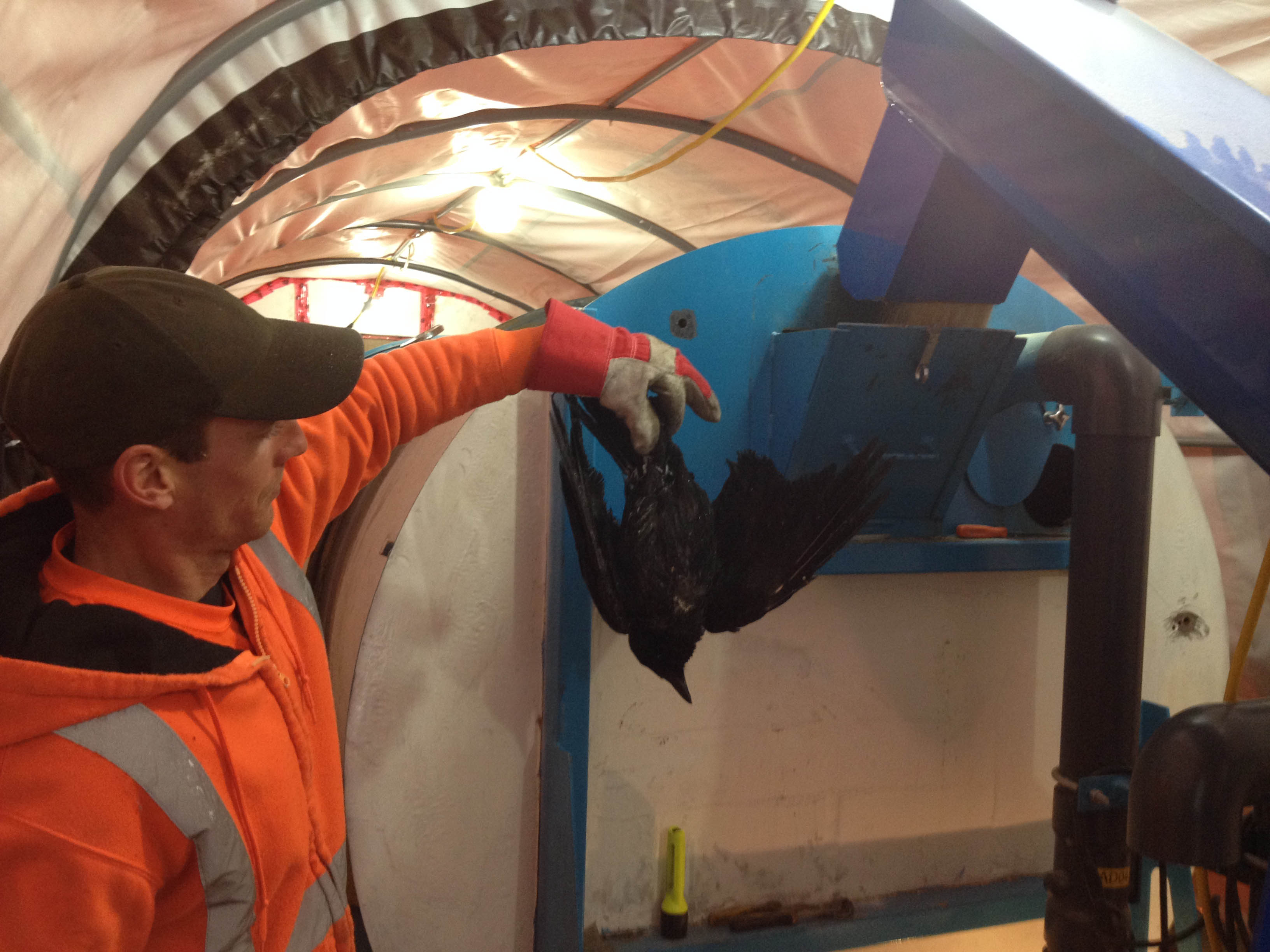 Food waste Archives In Vessel Composting System for Organic Waste