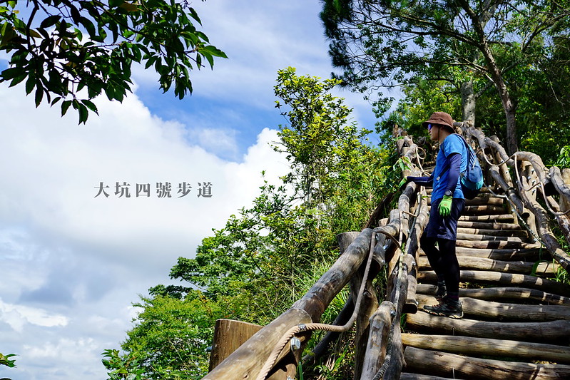 【大坑4號步道】大坑魔王級步道！頭嵙山小百岳，挑戰300公尺軟腳坡眺望絕美市景