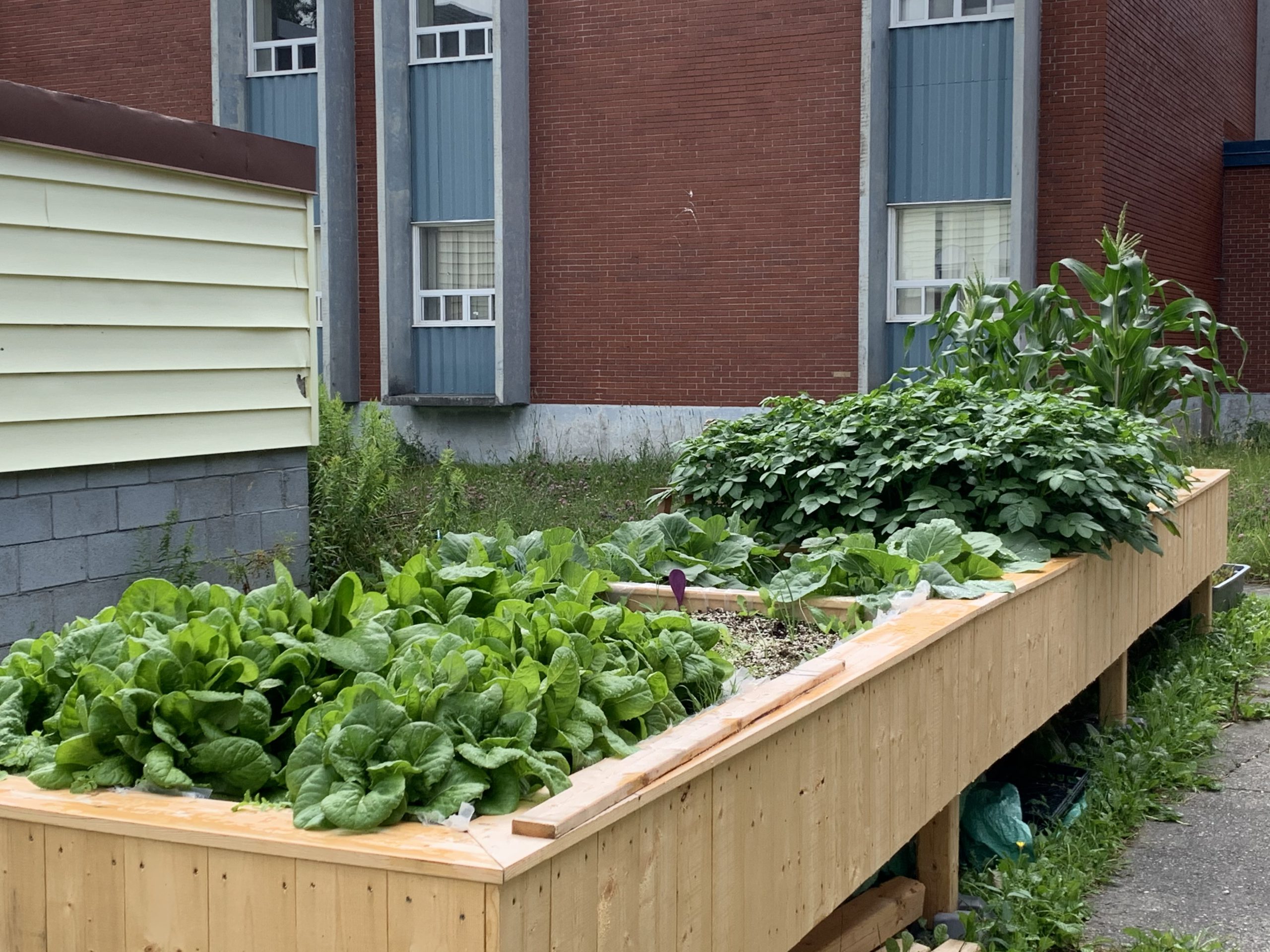 Our Facility Xavier House Inc.