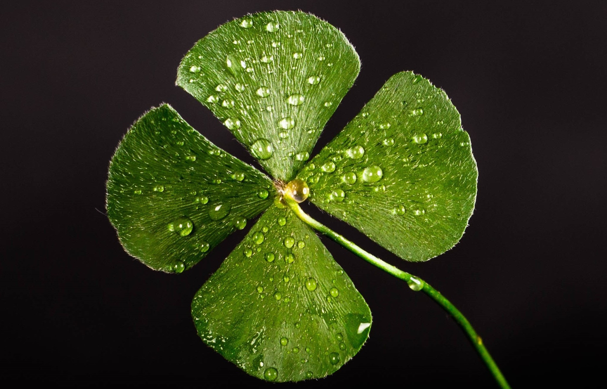 Mi último post; Suerte = preparación + oportunidad