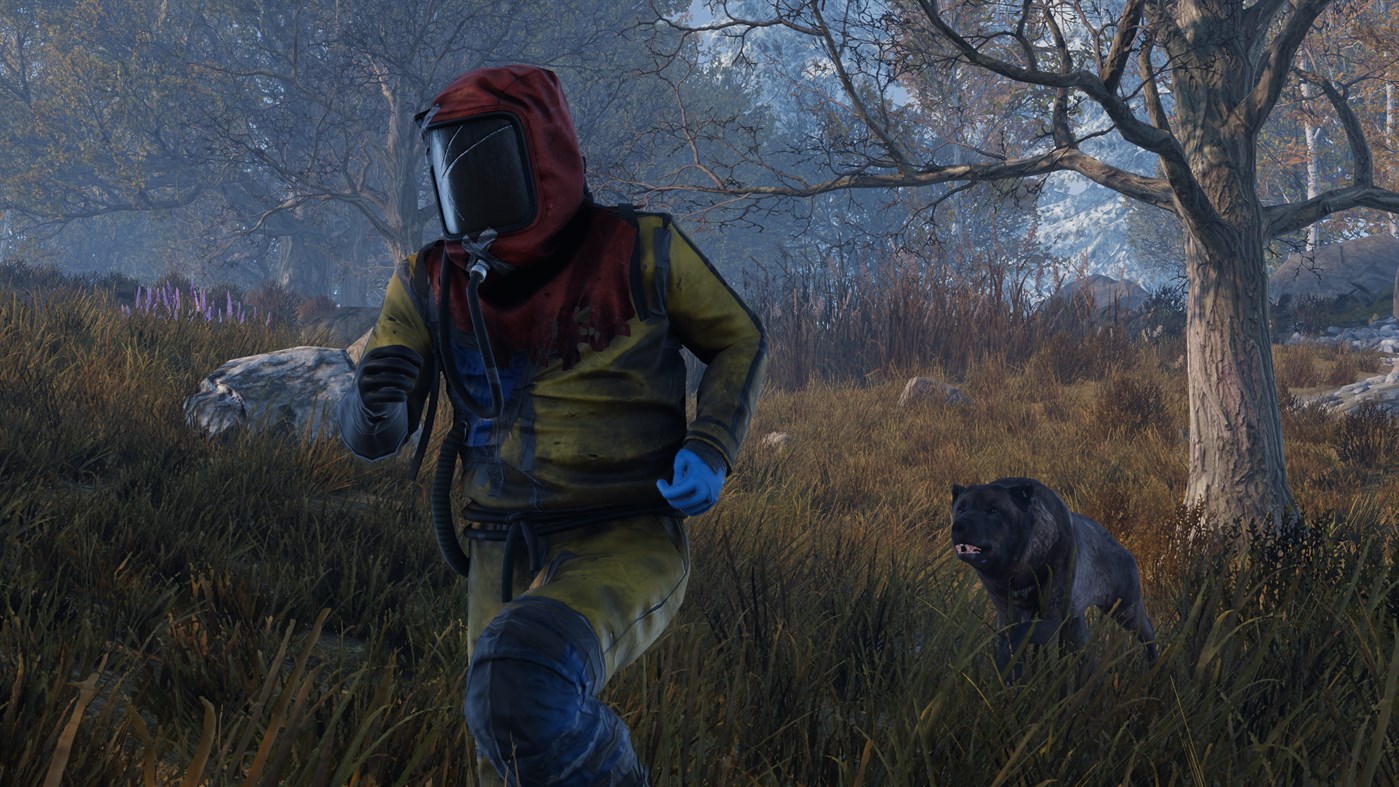 Rust sur Xbox One X Test, actu et médias