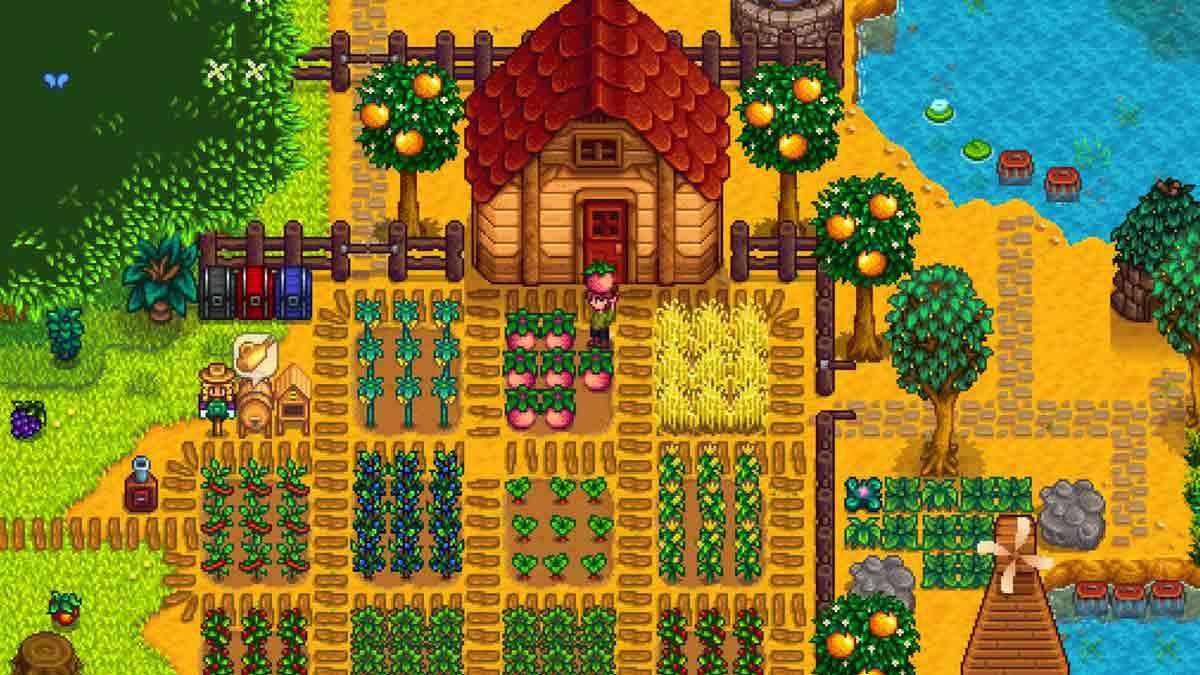 Stardew Valley Where to find Treasure Chest