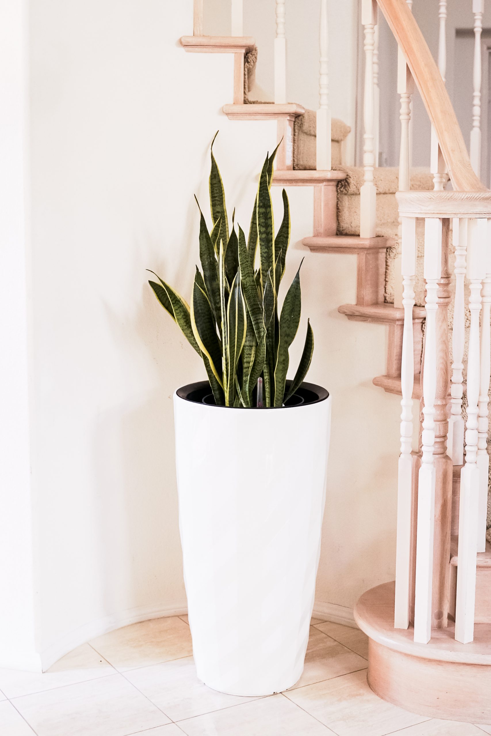 Nested Plastic Self Watering Round Planter Pot (PL3448WT) XBrand