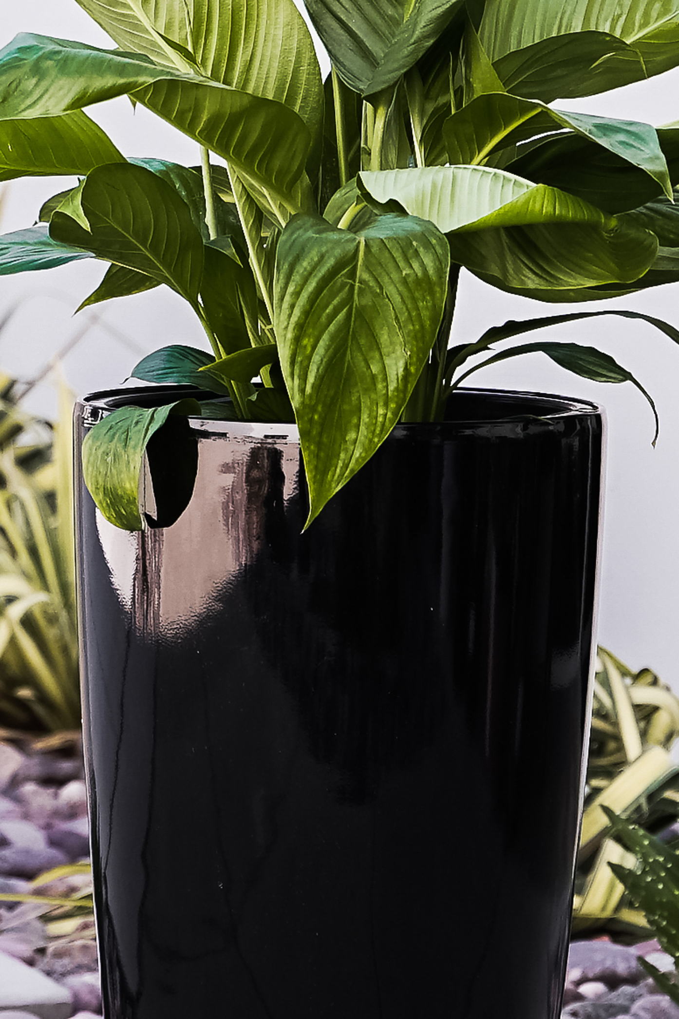 Black Round Planter Pot (PL3585BK) XBrand Your Home and Garden Source