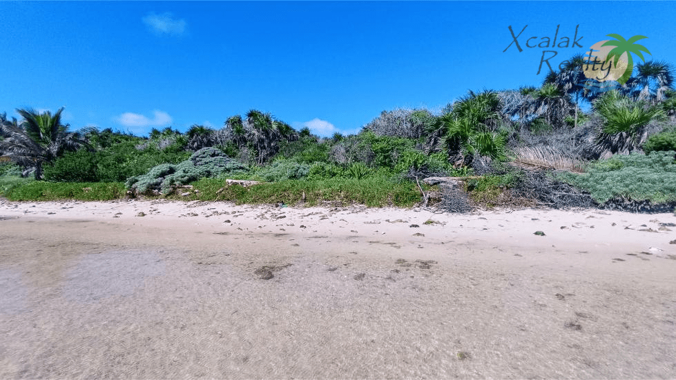 Lotrs frente al mar en Xcalak Costa Maya Oportunidad única.