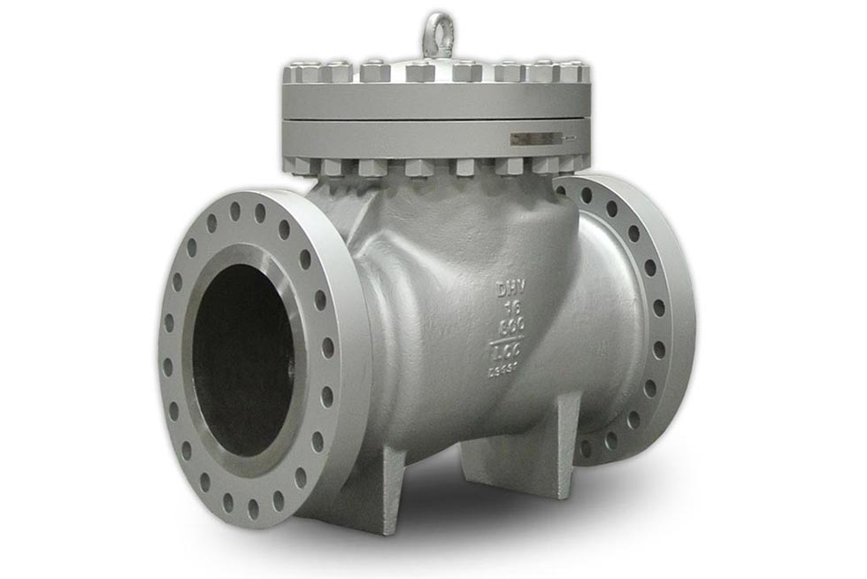 Check Valves Xceed Supply