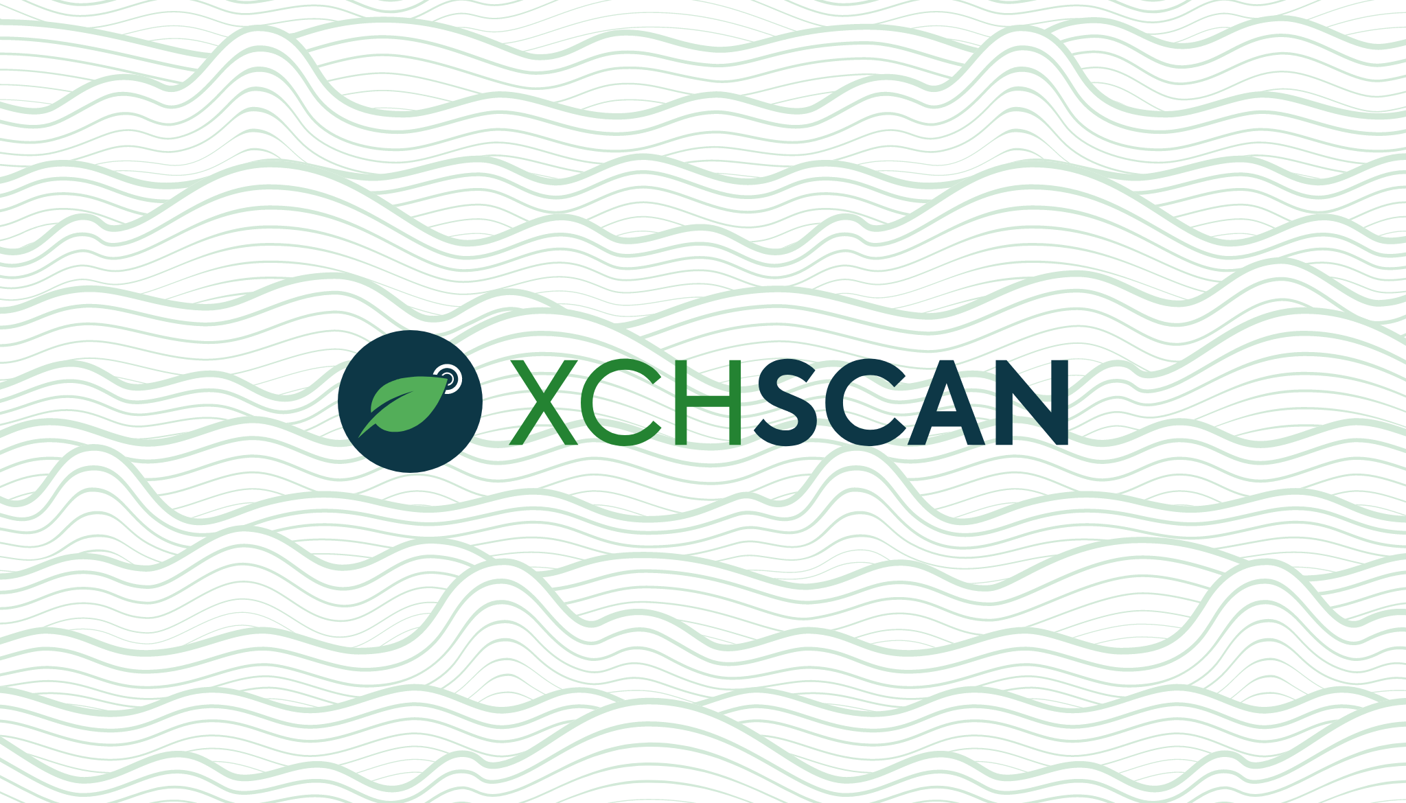 Chia (XCH) Transaction