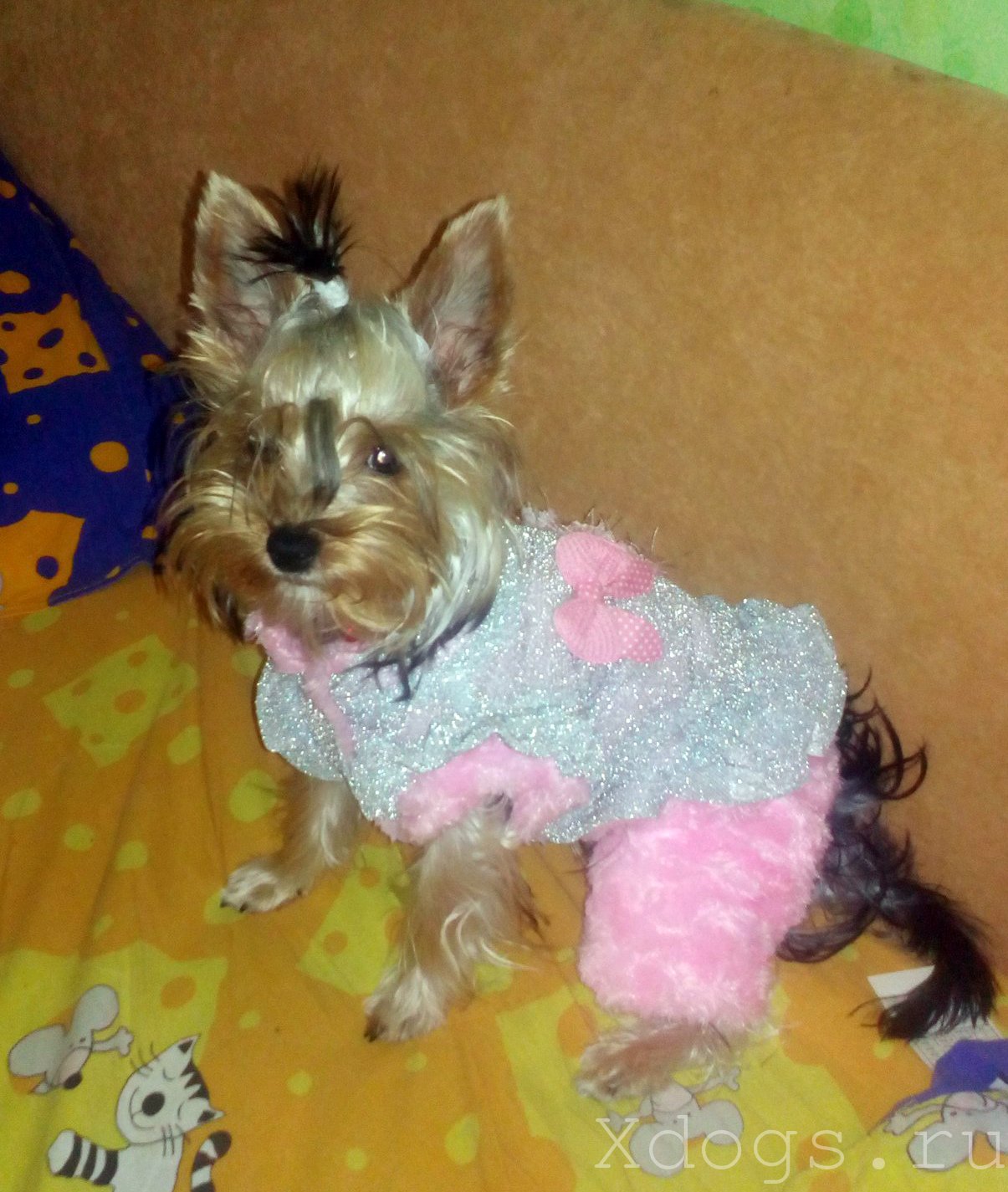 Комбинезон серебристорозовый Одежда для собак Xdogs.ru