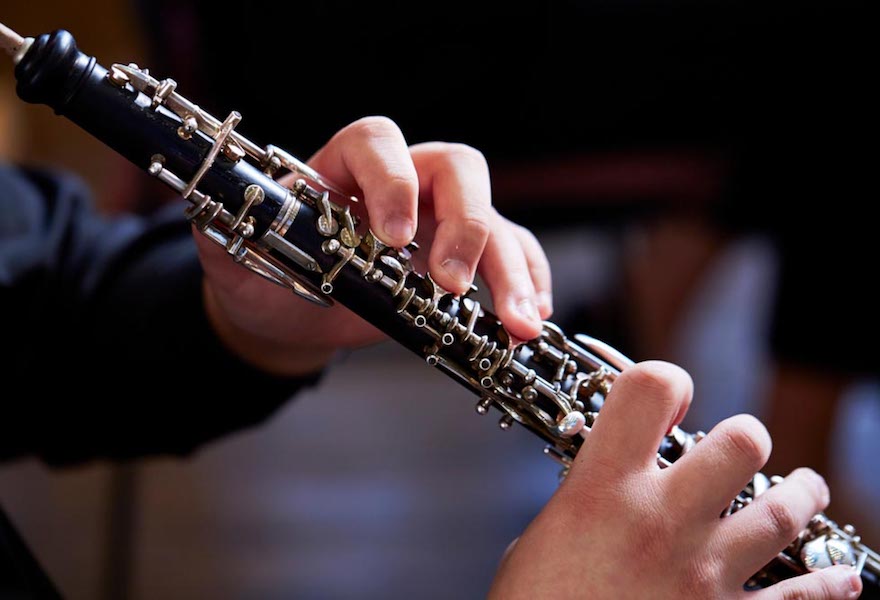 Cinematic Samples Cinematic Studio Woodwinds KONTAKT电影工作室木管 Audioba