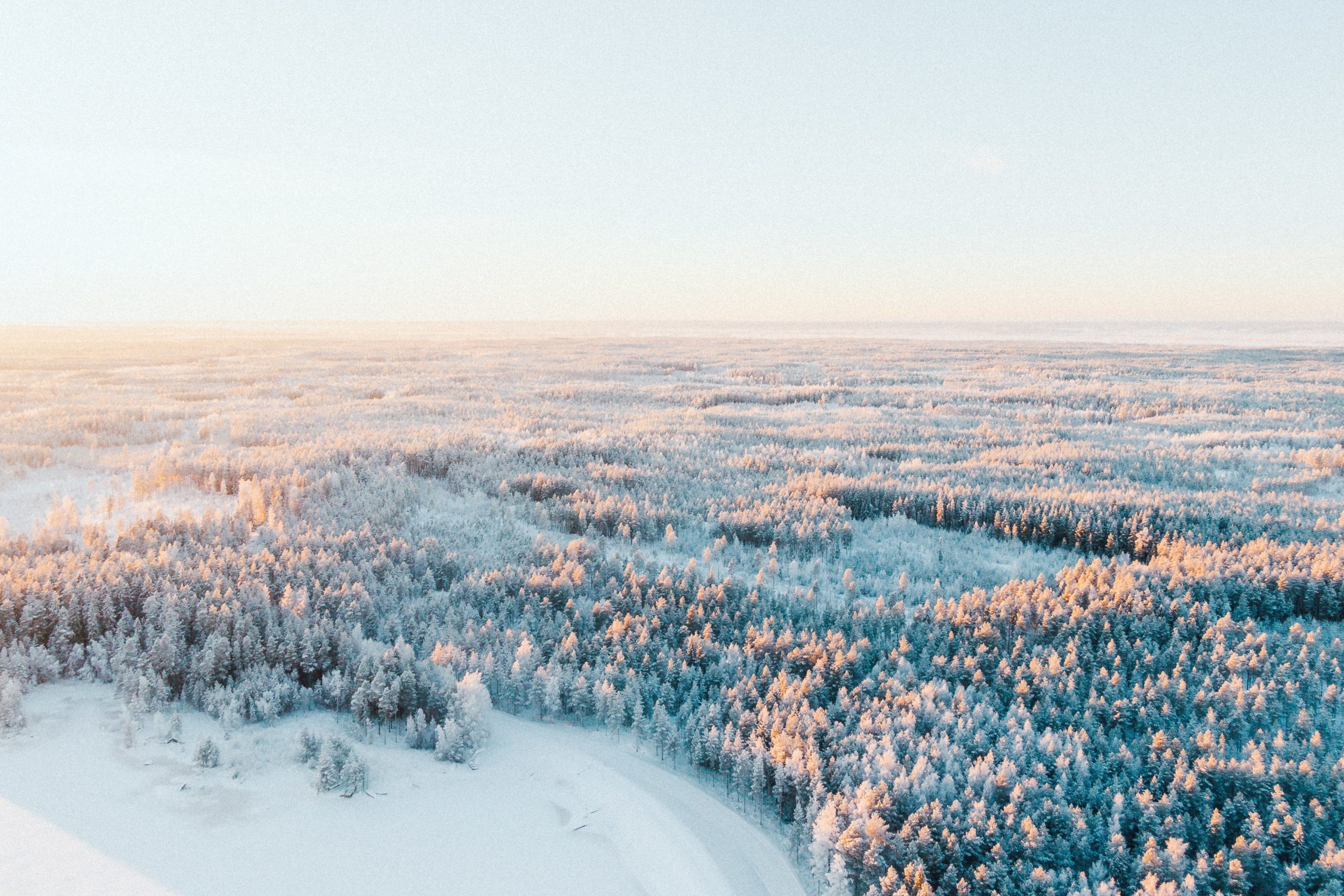 Climate Change Finland Xeero.io