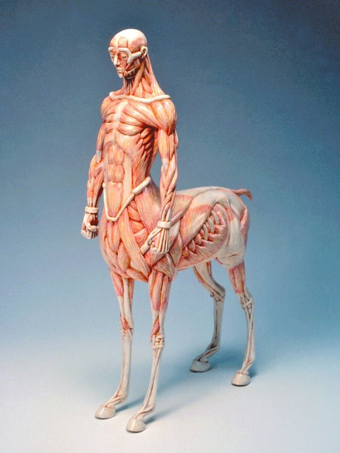 筋肉を表現した彫刻、木下雅雄のアートに見入る