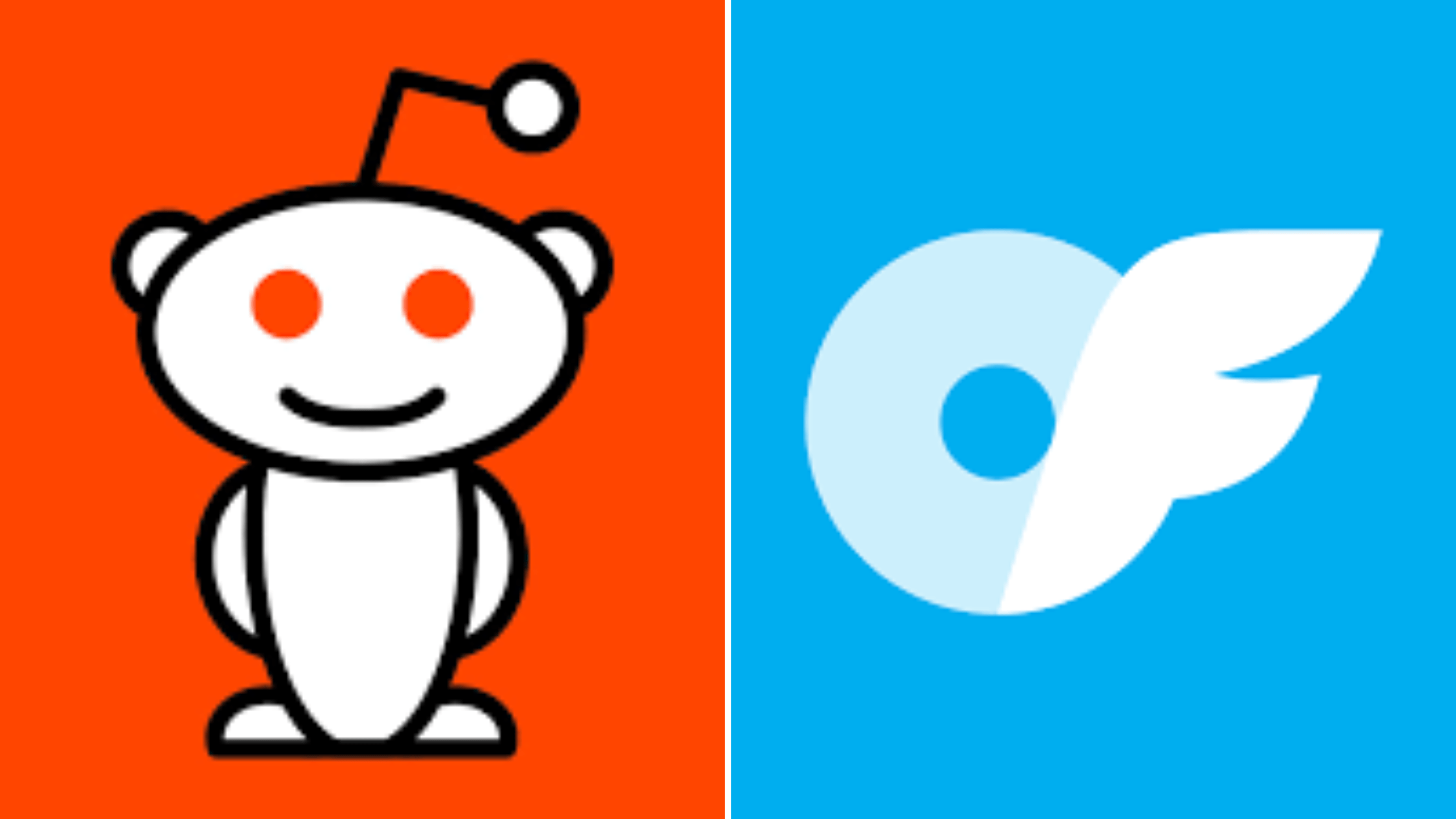 Promote Your OnlyFans on Reddit