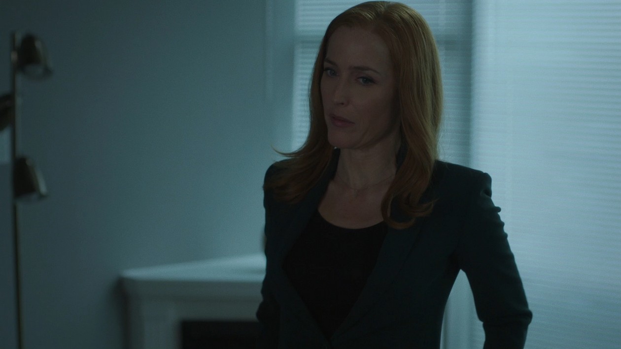 The XFiles Archive Eleventh Season Kitten The X Files Archive