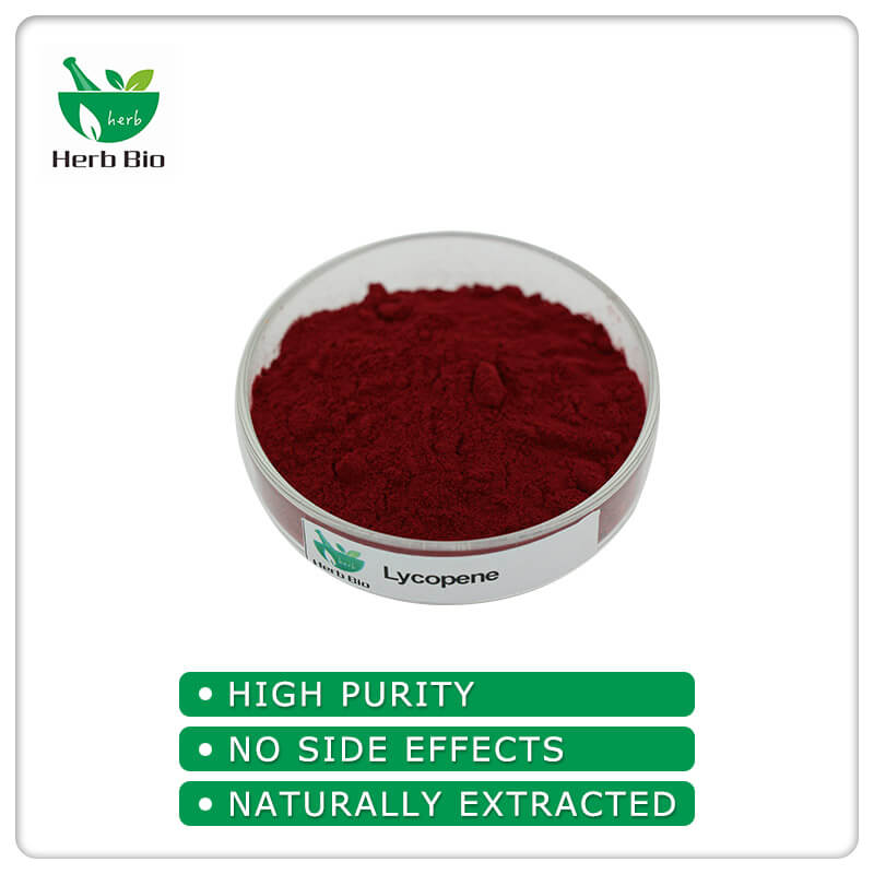 100 Natural China Tomato Powder Suppliers Xi'an Herb Bio
