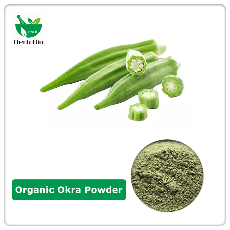 Spray Dry Organic Okra Powder Suppliers Xi'an Herb Bio