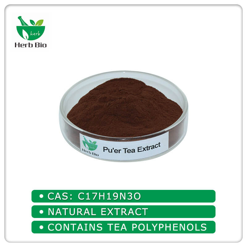 Wholesale best Puer tea extract suppliers Xi´an Herb Bio