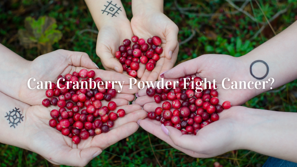 Can Cranberry Powder Fight Cancer? Herb bio (Herbal Extract Supplier )