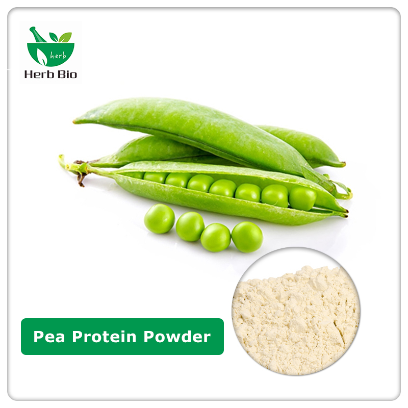 Pea protein powder wholesale supplier —— Xi'an Herb Bio
