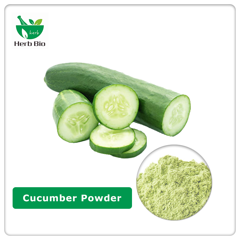 The best Cucumber Extract Supplier —— Xi'an Herb Bio