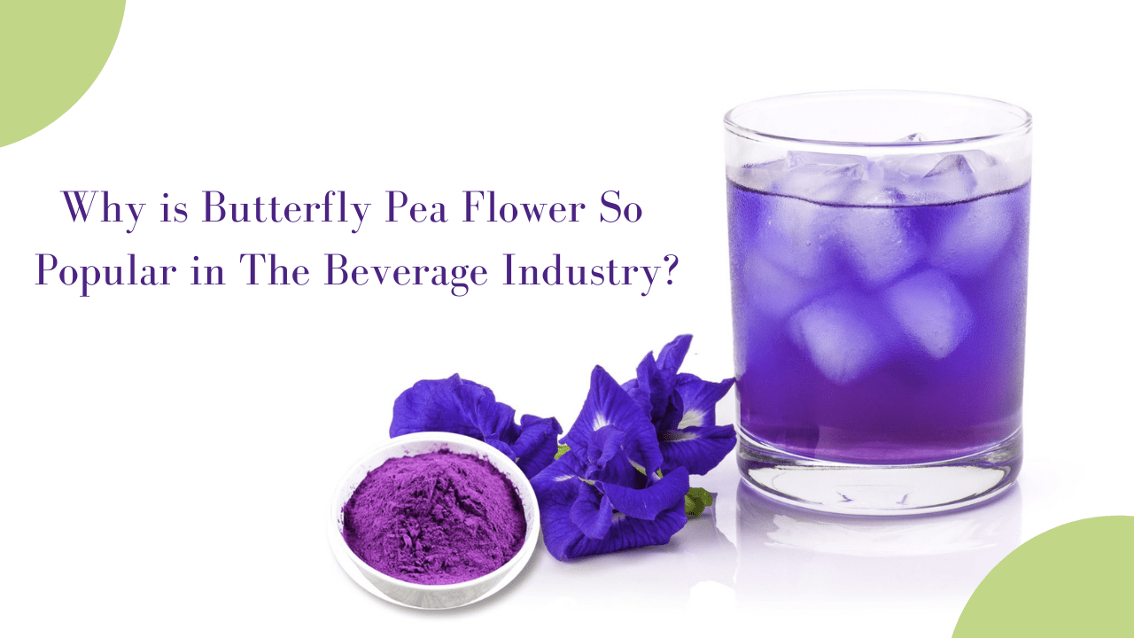 Butterfly Pea Flower Powder (Blue Tea) SupplierXi'an Herb Bio